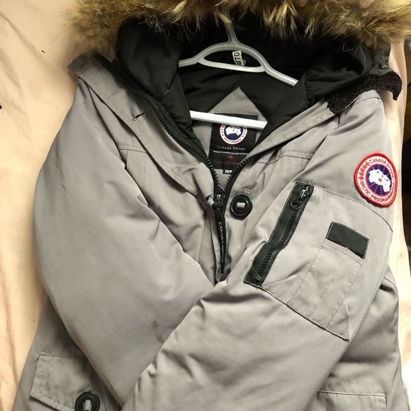 Gray Canada goose for sale - Picture 10 of 11